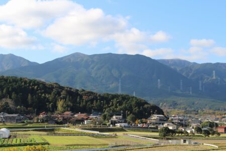 オンラインショップ