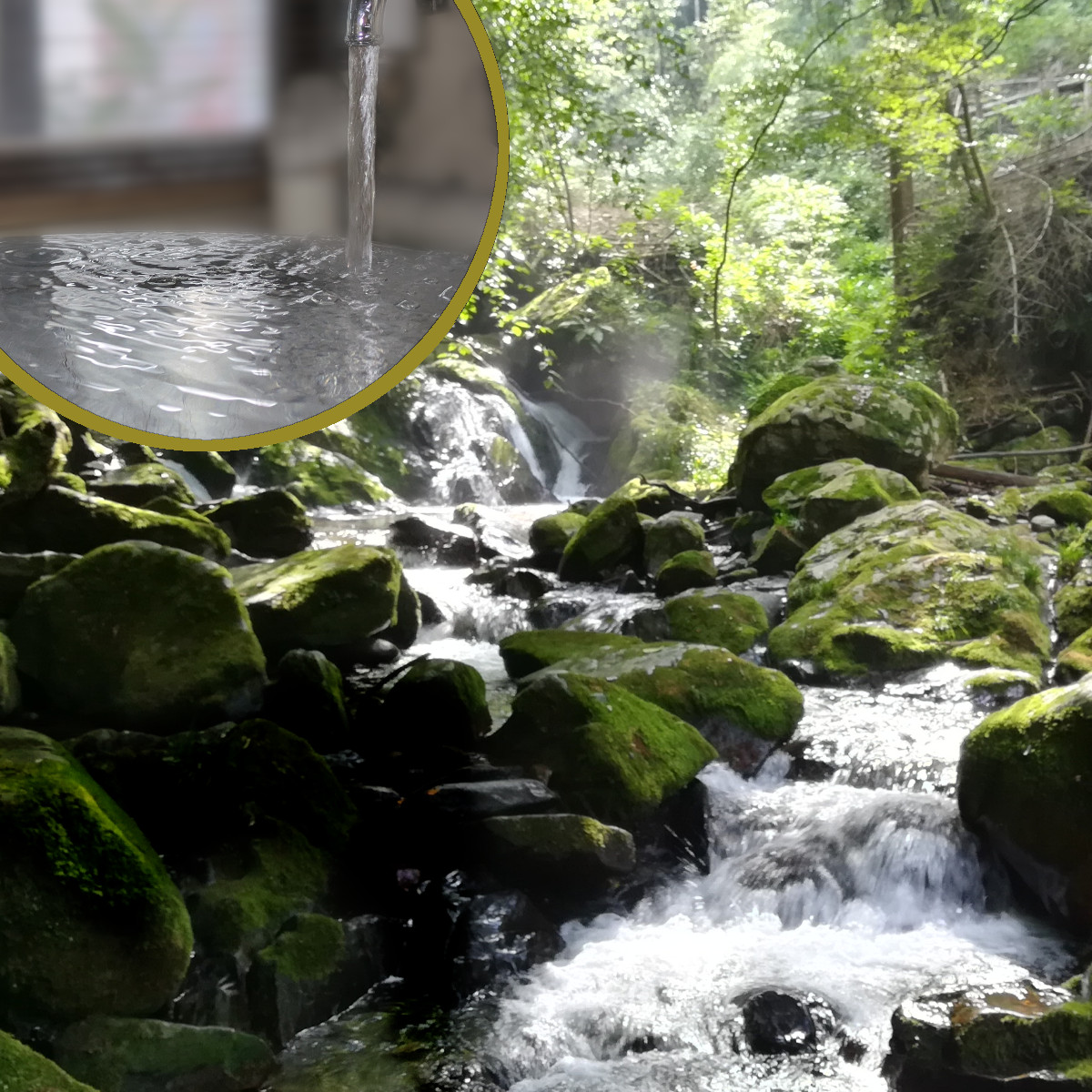 脊振の記憶を宿す水